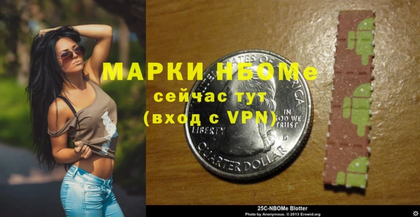 стаф Алексин