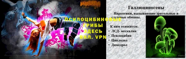 дурь Алзамай