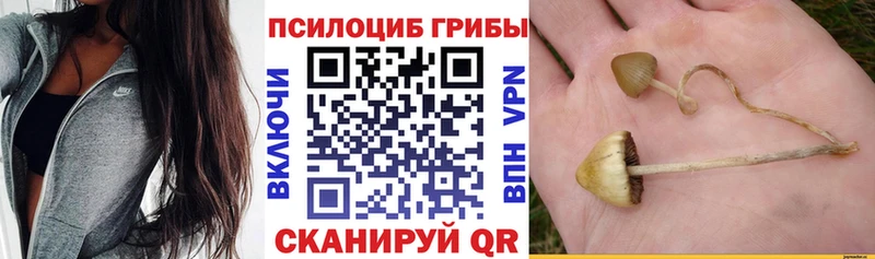 блэк спрут как зайти  Боровск  Галлюциногенные грибы GOLDEN TEACHER 